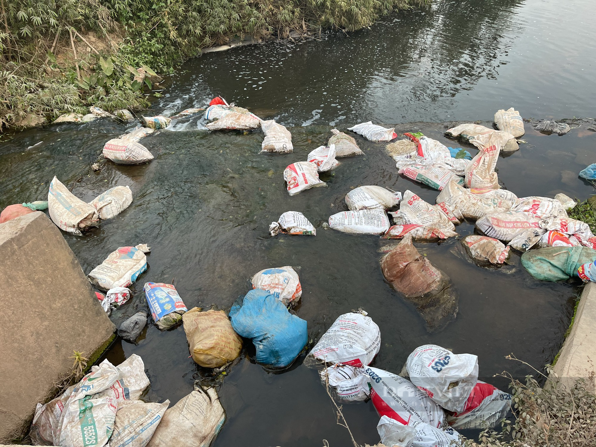 Thái Nguyên: Dân bức xúc vì tình trạng vứt rác thải và xác động vật ra suối gây ô nhiễm môi trường - Ảnh 2.