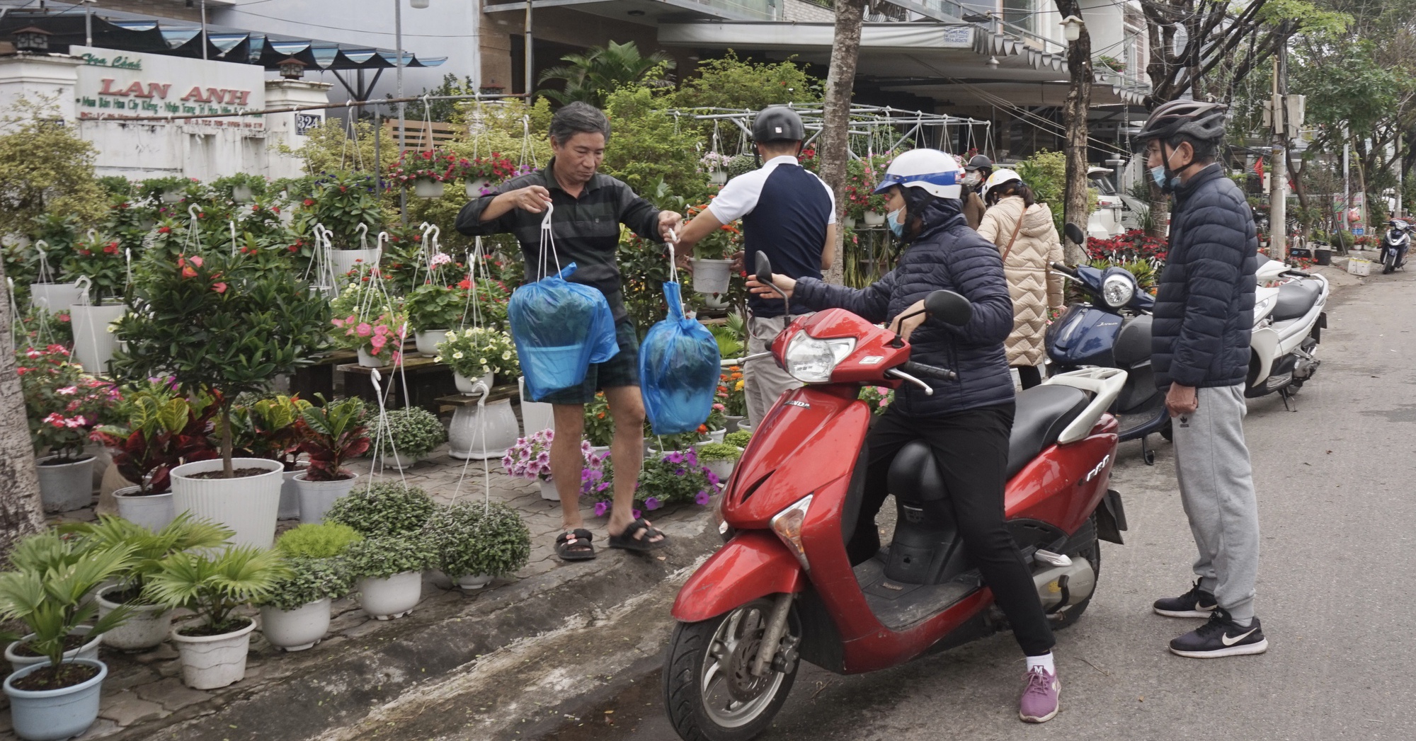 Đà Nẵng: Hoa treo hút hàng, hoa tết ngập tràn trên các tuyến phố chuyên doanh