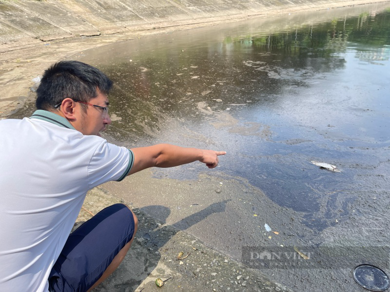 Truy tìm &quot;thủ phạm&quot; xả vô số dầu thải xuốn góc hồ Linh Đàm, nhiều công nhân thay nhau vớt - Ảnh 1.