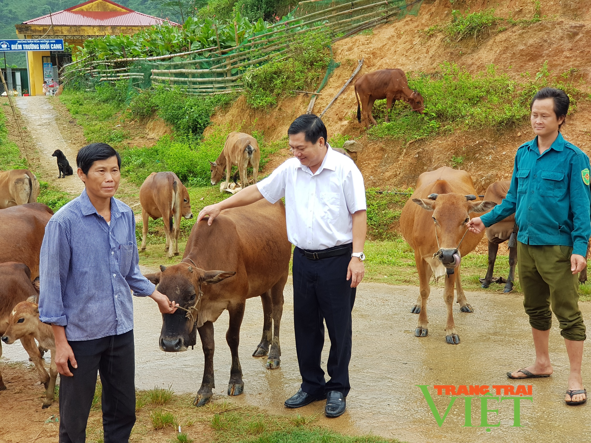 Mường Chà: Cầm tay chỉ việc, hướng dẫn nông dân phát triển kinh tế, cách làm hay để giảm nghèo - Ảnh 3.