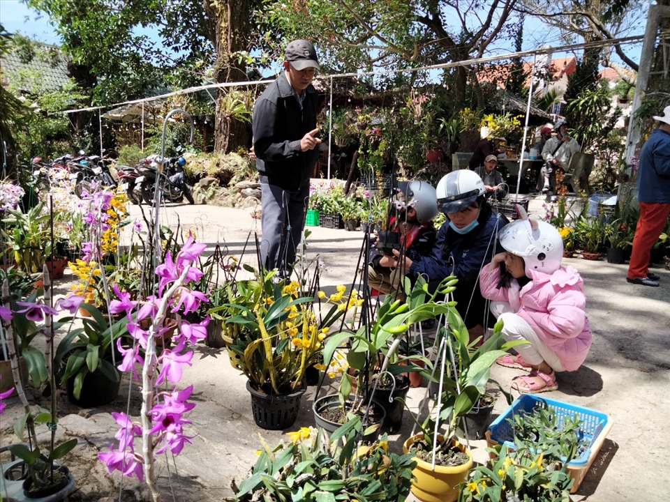 La liệt lan rừng các kiểu giữa phố phường tấp nập ở một thành phố của tỉnh Lâm Đồng - Ảnh 1.