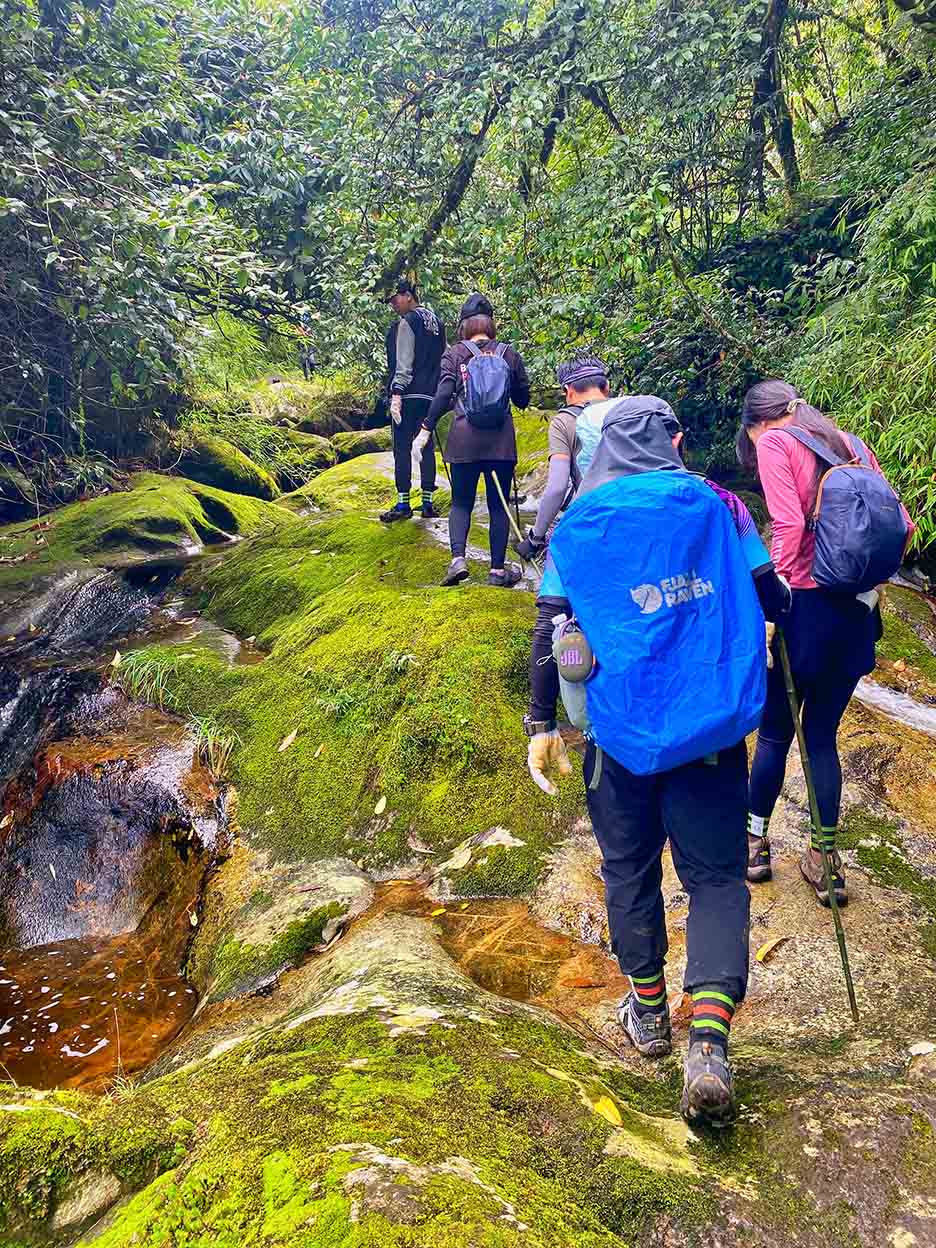 Băng rừng 2 ngày ngắm ‘quỷ núi’, săn hốc đá hình ‘trái tim’ Nhìu Cồ San-một ngọn núi cao ở Lào Cai - Ảnh 2.