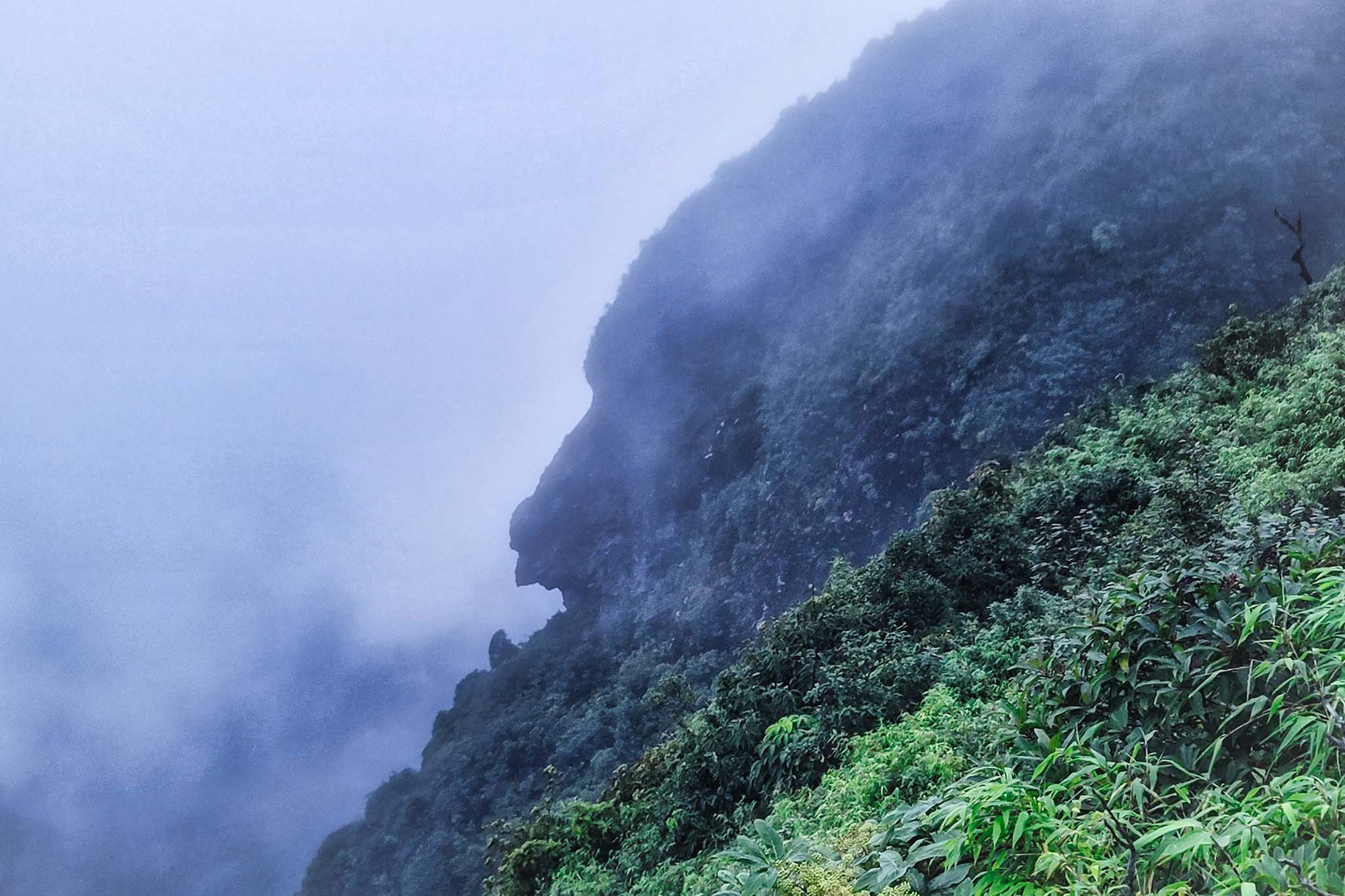 Băng rừng 2 ngày ngắm ‘quỷ núi’, săn hốc đá hình ‘trái tim’ Nhìu Cồ San-một ngọn núi cao ở Lào Cai - Ảnh 10.