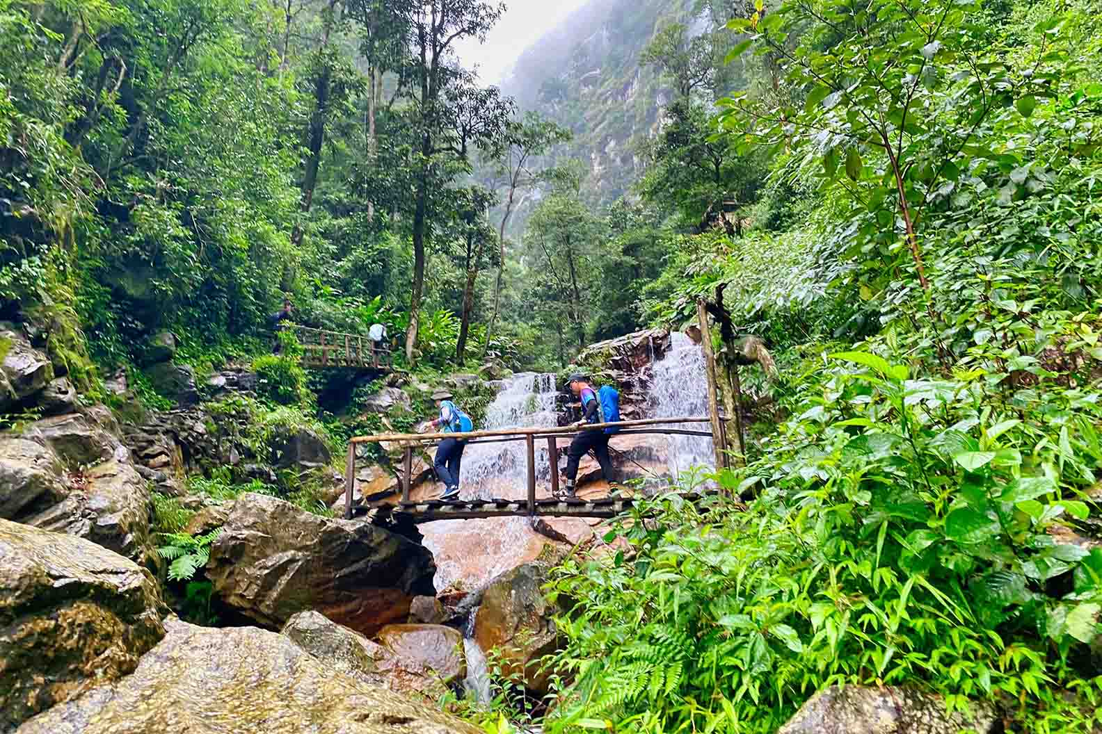 Băng rừng 2 ngày ngắm ‘quỷ núi’, săn hốc đá hình ‘trái tim’ Nhìu Cồ San-một ngọn núi cao ở Lào Cai - Ảnh 4.