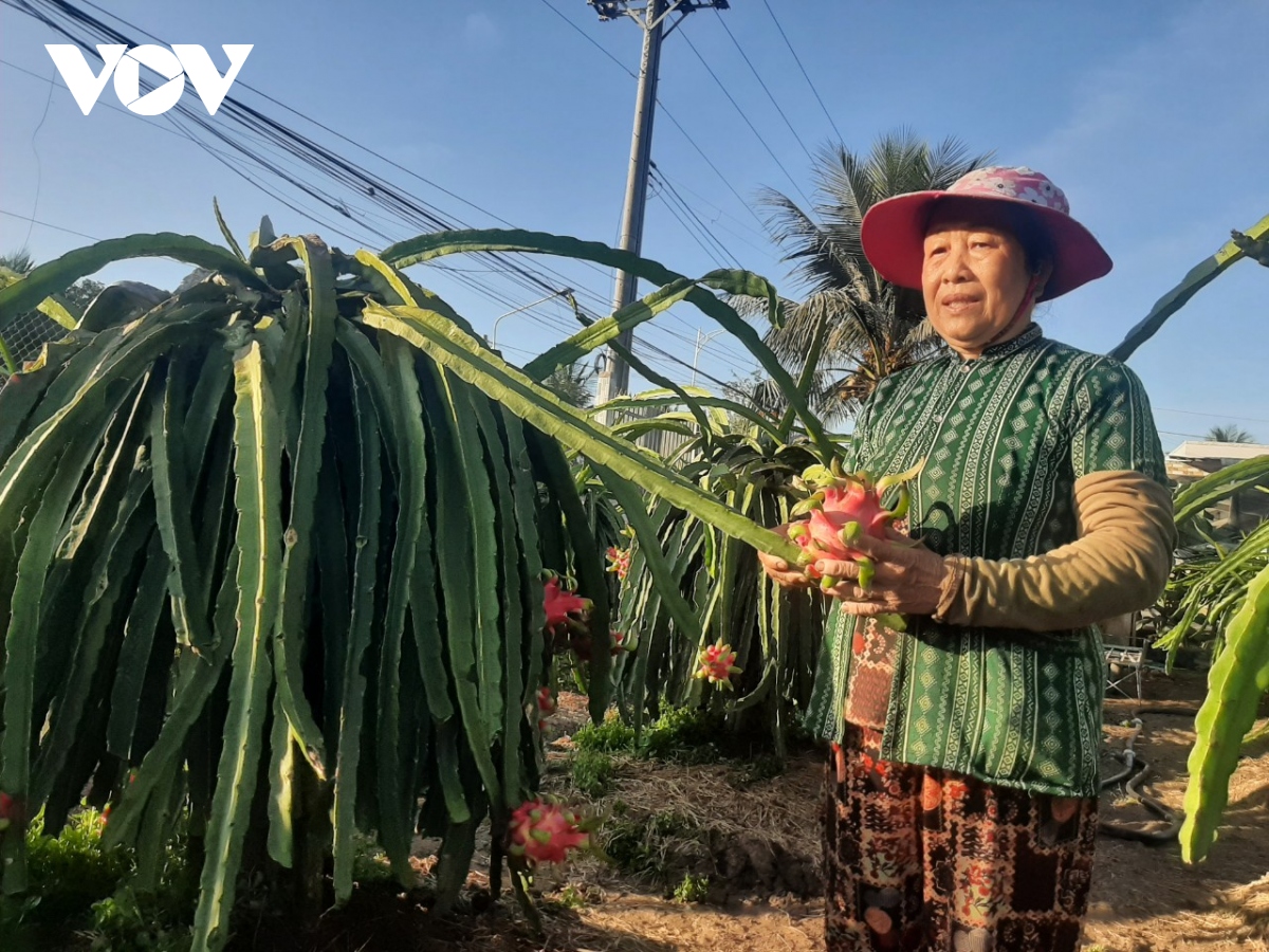 Những lão nông kiếm tiền tỷ ở Tiền Giang - Ảnh 3.