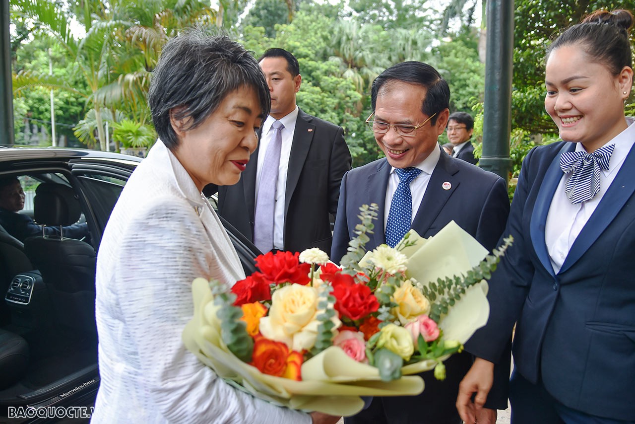 Bộ trưởng Ngoại giao Bùi Thanh Sơn: Đề nghị Nhật Bản từng bước tiến tới miễn thị thực cho công dân Việt Nam - Ảnh 1.