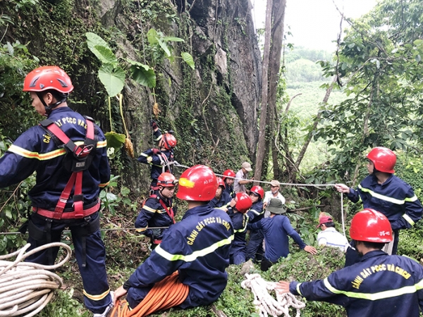 Lộc rừng ở dãy núi Trường Sơn là thứ gì mà có người vô tìm, chẳng may bỏ mạng thương tâm? - Ảnh 4.