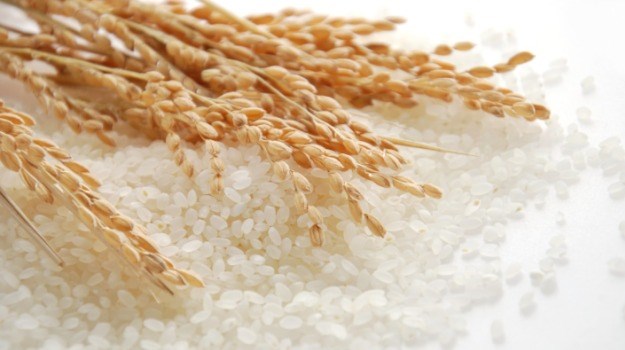 Giá lúa gạo hôm nay bật tăng trở lại- Ảnh 3.