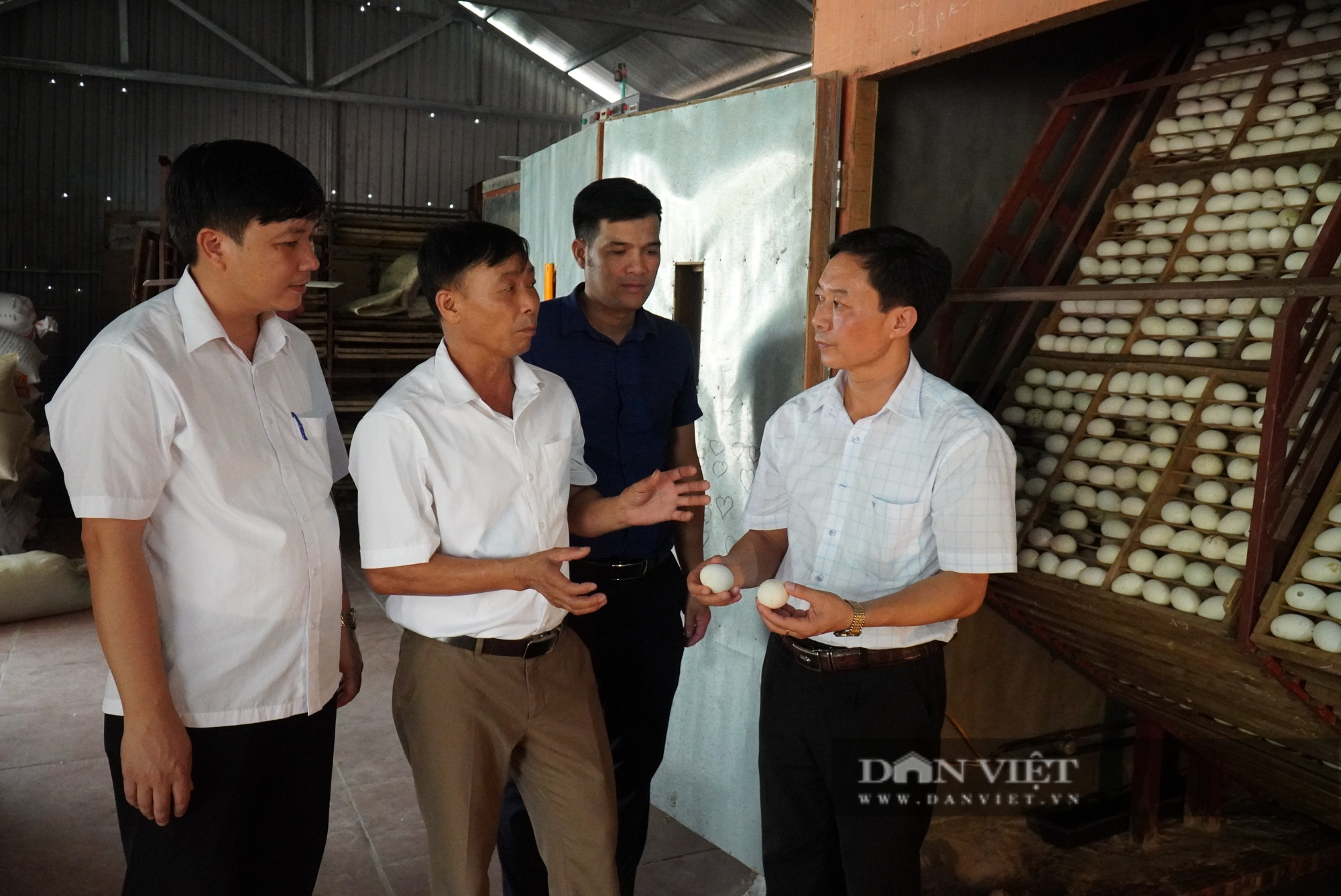 4 giải pháp của Hội Nông dân Bắc Giang xây dựng thương hiệu HTX, đưa nông sản vào các khu công nghiệp - Ảnh 1.