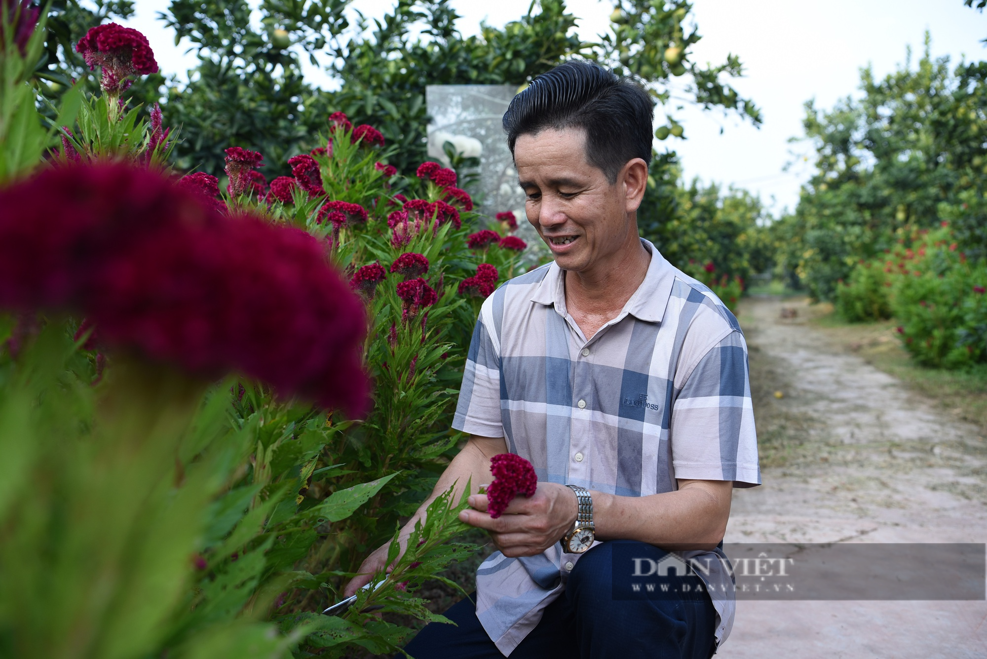 Vườn cam, bưởi hữu cơ đẹp như tranh của Nông dân Việt Nam xuất sắc 2023 đến từ Bắc Giang - Ảnh 6.