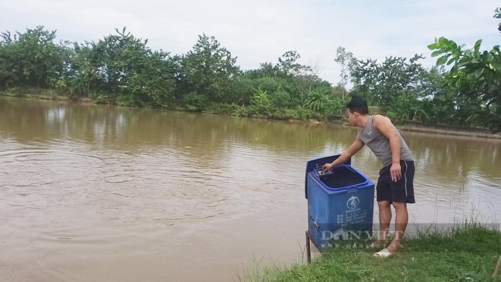 &quot;Góc khuất&quot; chuyển đổi số nông nghiệp: Khi hệ thống cảm biến dưới ao cá bị đưa... lên bờ (Bài 1) - Ảnh 3.