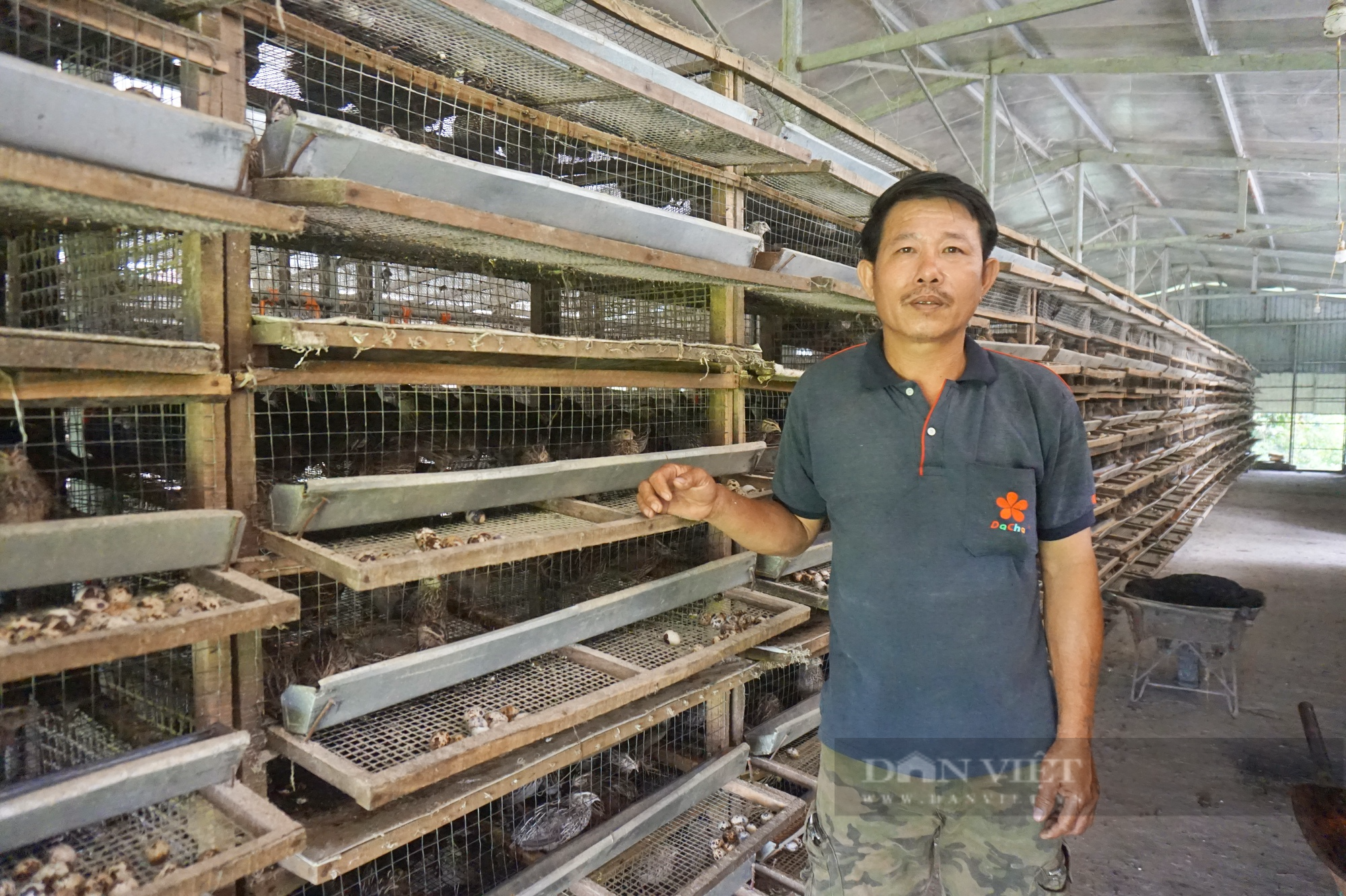 Quảng Nam: Nuôi 20.000 con chim cặm cụi ăn cả ngày, anh nông dân nhặt trứng mỏi tay mà có của ăn của để - Ảnh 1.