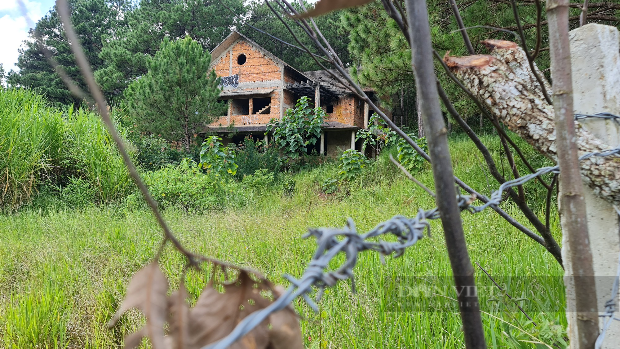 Hình ảnh ma quái trong loạt &quot;biệt thự ma&quot; bỏ hoang trong Khu du lịch quốc gia hồ Tuyền Lâm - Ảnh 10.