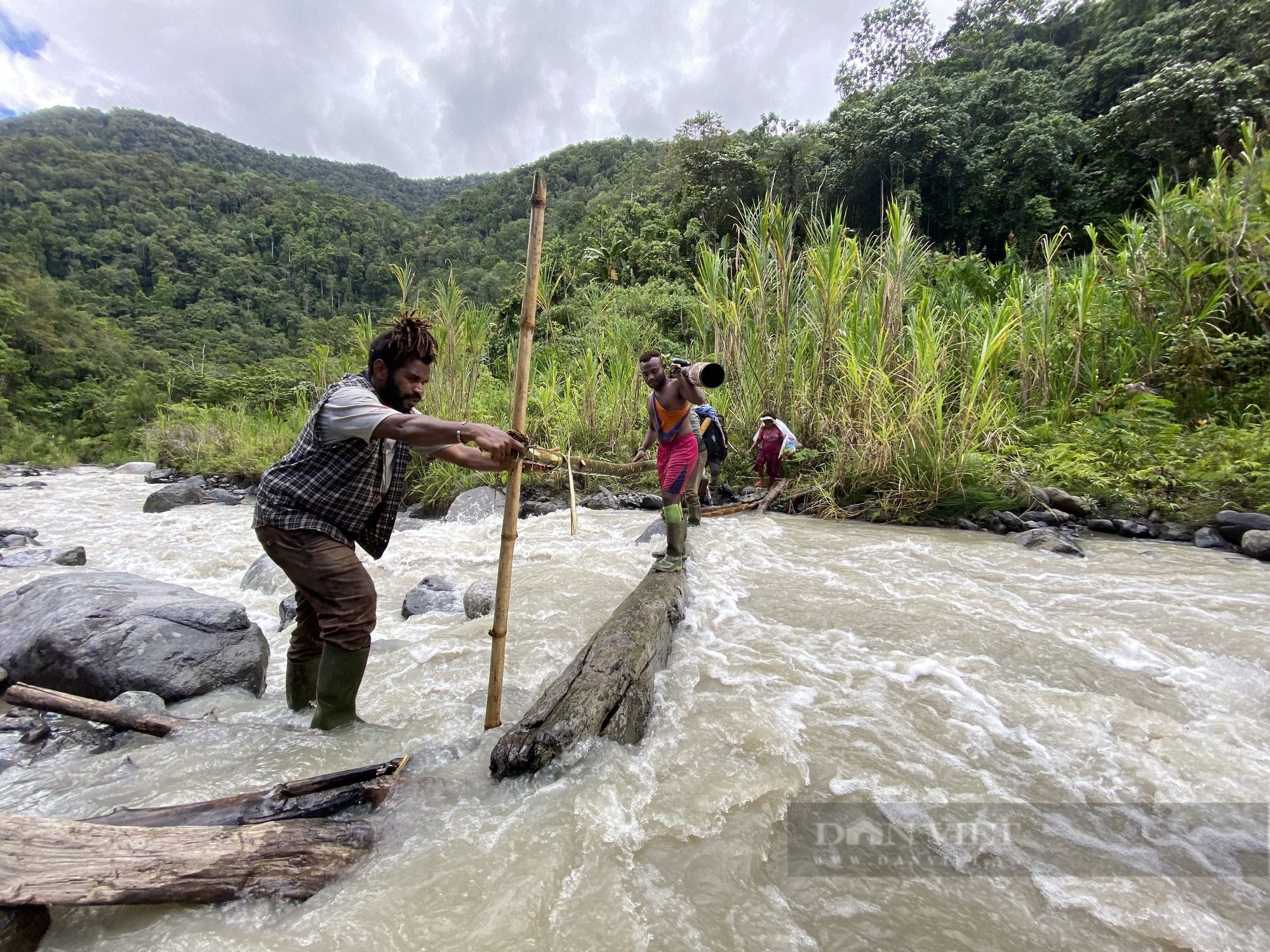 10 ngày hành xác ở &quot;xứ Thiên Đường&quot;: &quot;Nhân cách Bird Guide&quot; - sự nhọc nhằn của thổ dân Papua (Bài 4) - Ảnh 8.