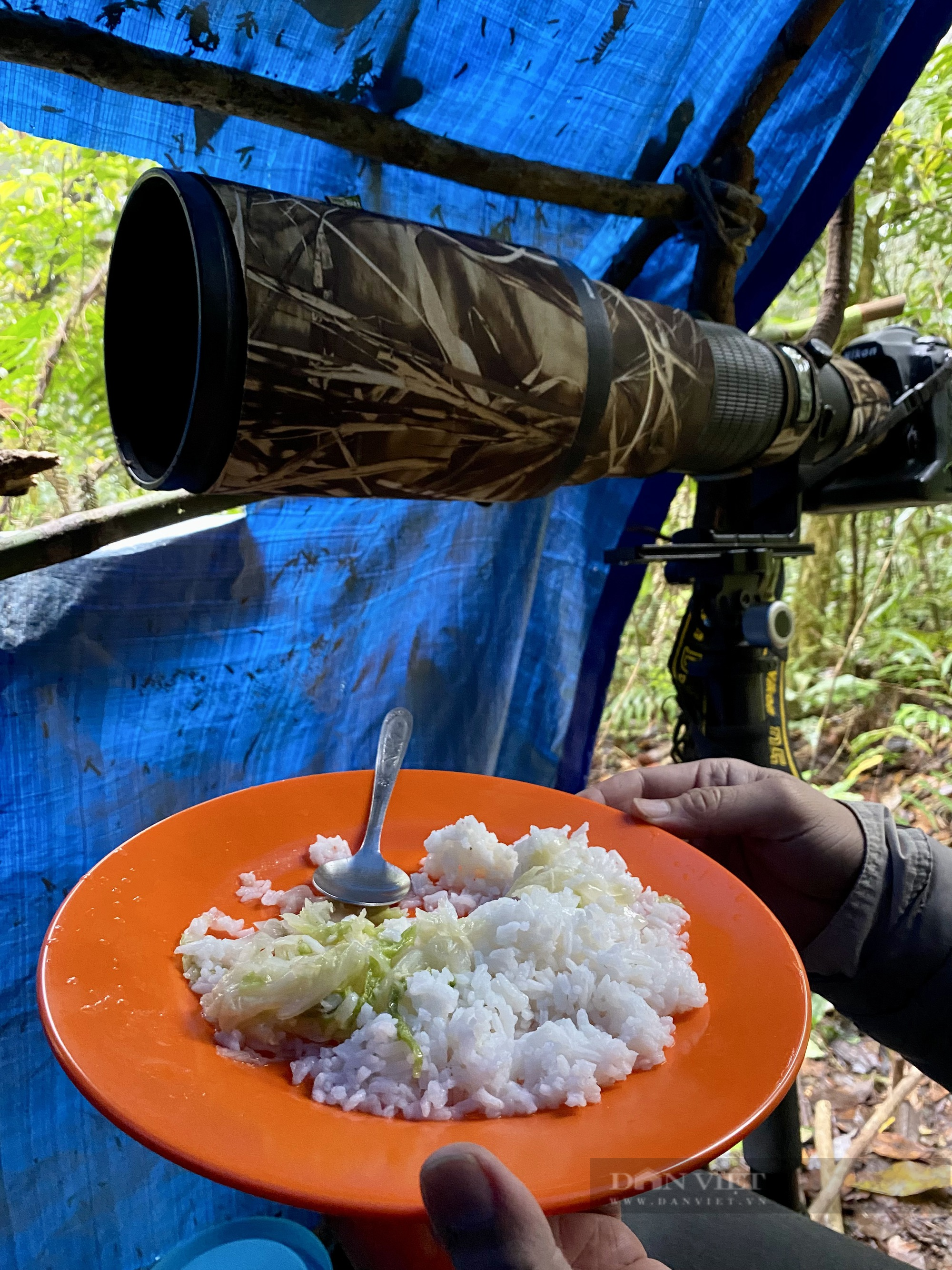 10 ngày hành xác ở &quot;xứ Thiên Đường&quot;: &quot;Nhân cách Bird Guide&quot; - sự nhọc nhằn của thổ dân Papua (Bài 4) - Ảnh 18.