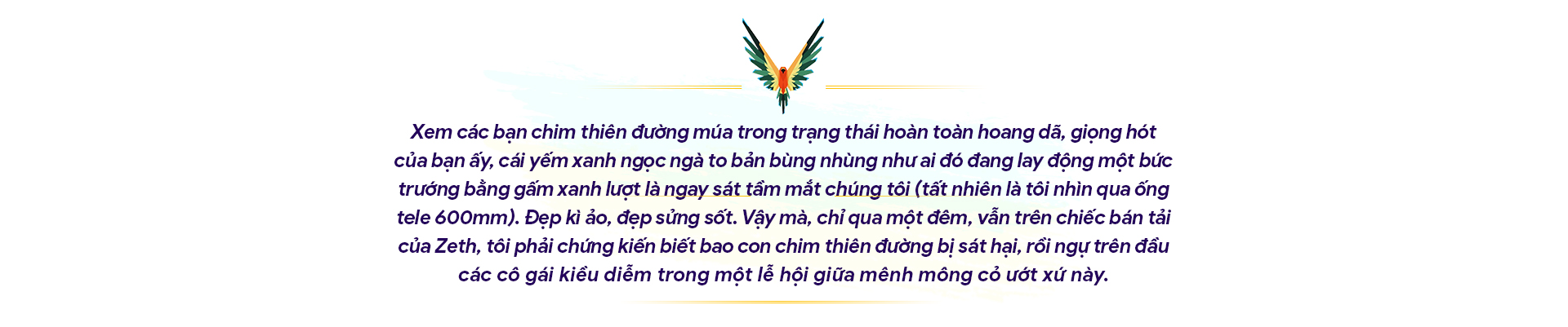 10 ngày hành xác ở &quot;xứ Thiên Đường&quot;: &quot;Chim thần&quot; bị nhồi trấu, cắt cánh, vặt chân! (Bài 5) - Ảnh 4.