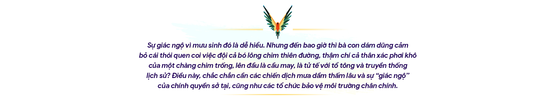 10 ngày hành xác ở &quot;xứ Thiên Đường&quot;: &quot;Chim thần&quot; bị nhồi trấu, cắt cánh, vặt chân! (Bài 5) - Ảnh 6.