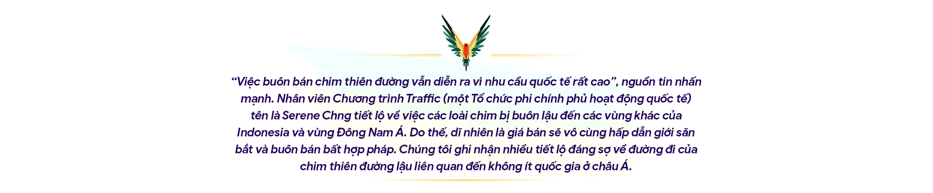 10 ngày hành xác ở &quot;xứ Thiên Đường&quot;: &quot;Chim thần&quot; bị nhồi trấu, cắt cánh, vặt chân! (Bài 5) - Ảnh 12.