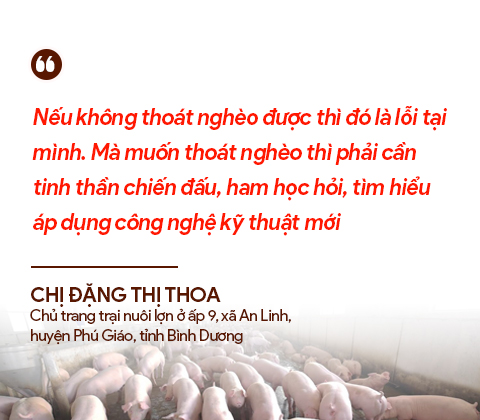 Những đầu tàu liên kết &quot;kéo&quot; nông dân làm giàu: Khi các tỷ phú nông dân bắt tay làm ăn lớn (bài 4) - Ảnh 3.