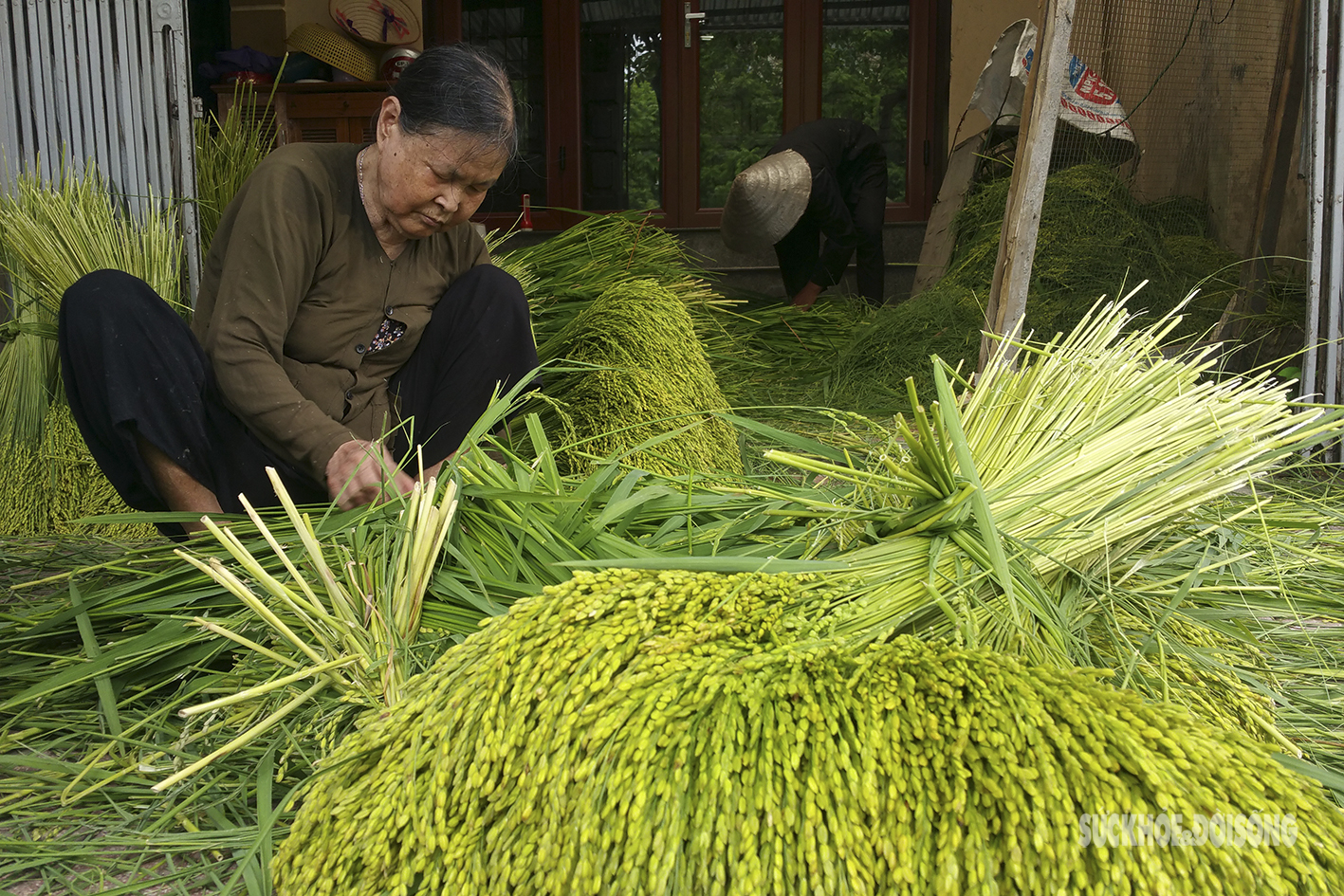 Vào làng Mễ Trì xem người dân &quot;luyện&quot; cốm: Nghe tiếng chày thậm thình, tận hưởng mùi cốm tỏa hương - Ảnh 1.