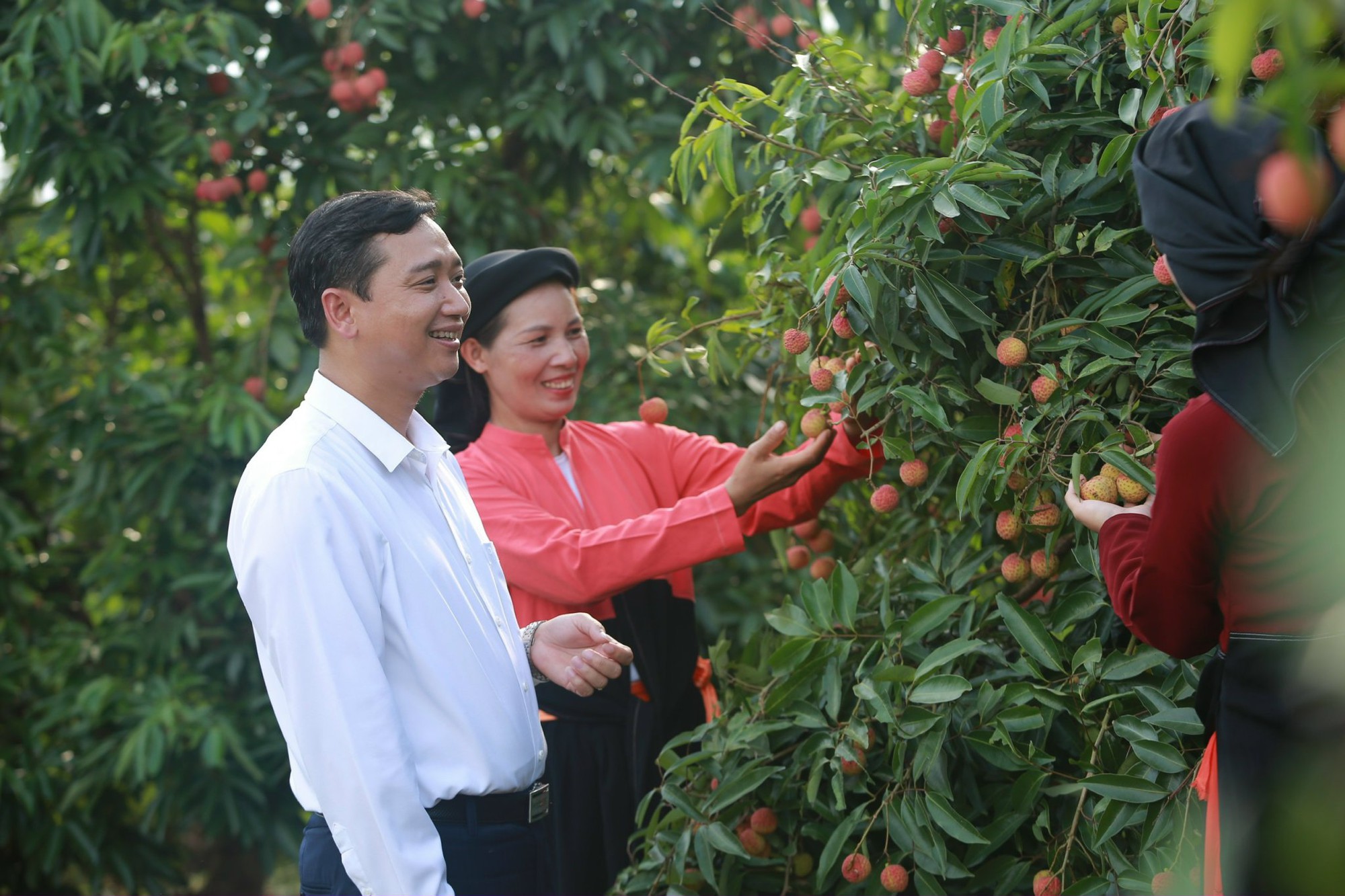 Những đầu tàu liên kết, &quot;kéo&quot; nông dân làm giàu: Hợp tác trở thành văn hóa (bài 5) - Ảnh 5.