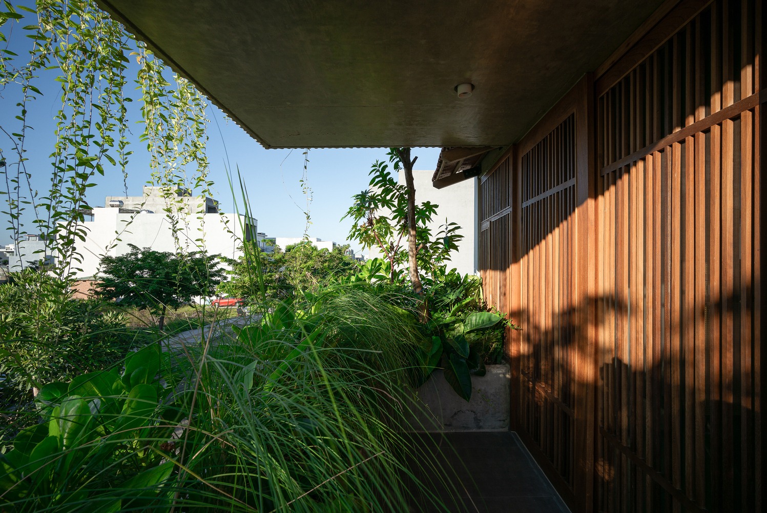 Nhà có nhiều khoảng đệm xanh giúp giảm bớt nhiệt độ nắng nóng   - Ảnh 12.