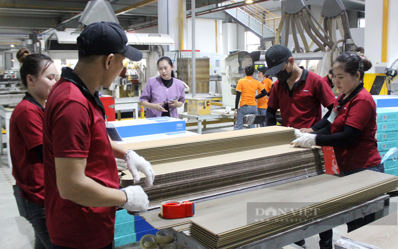 Một doanh nghiệp FDI đến từ Trung Quốc ở Khu công nghiệp Tân Bình (TP.Tân Uyên) chuyên sản xuất ván sàn nhà xuất khẩu. Ảnh: Nguyên Vỹ