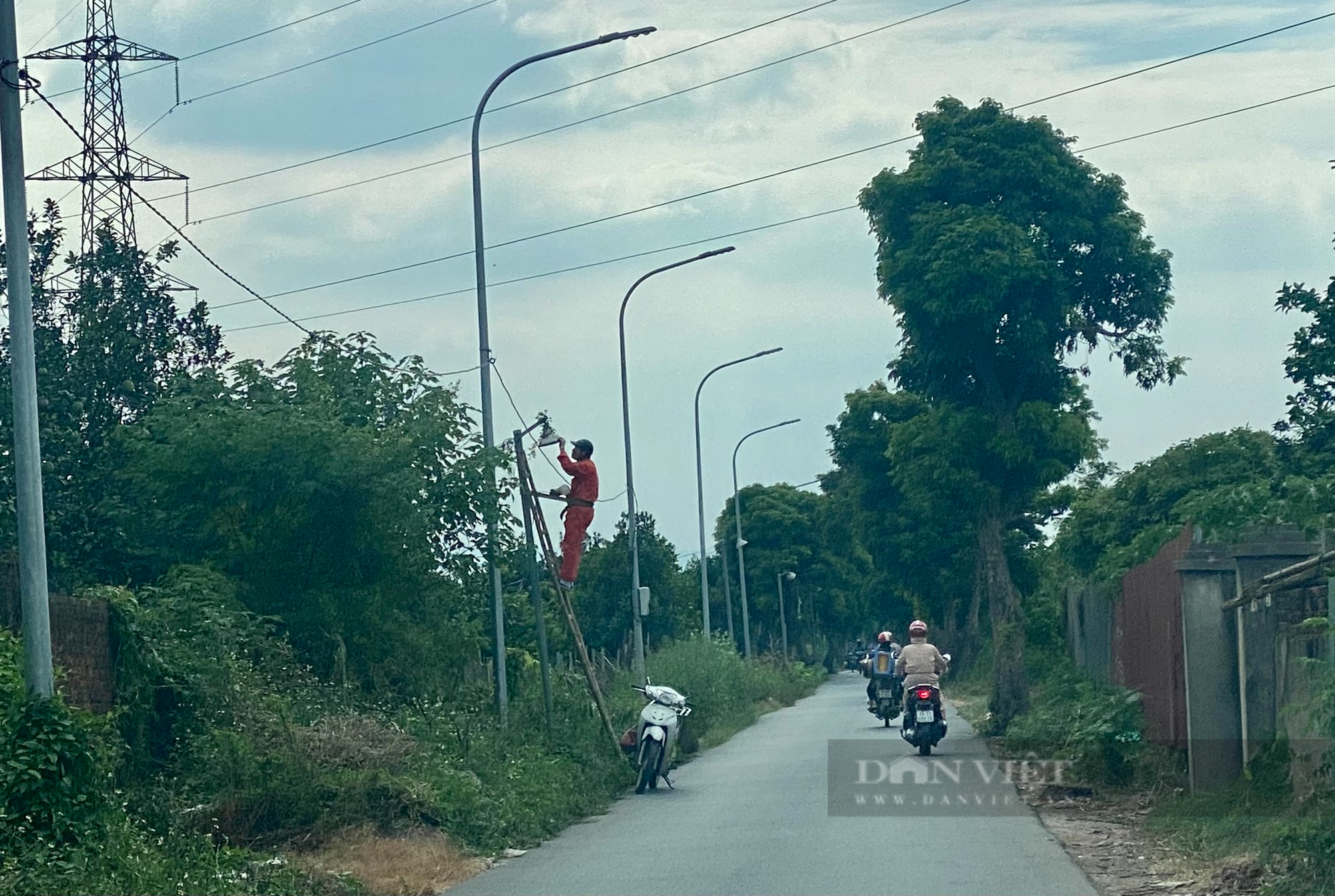 Cỏ mọc um tùm ở con đường kỳ lạ giữa Thủ đô được phát quang sau phản ánh của Dân Việt - Ảnh 2.