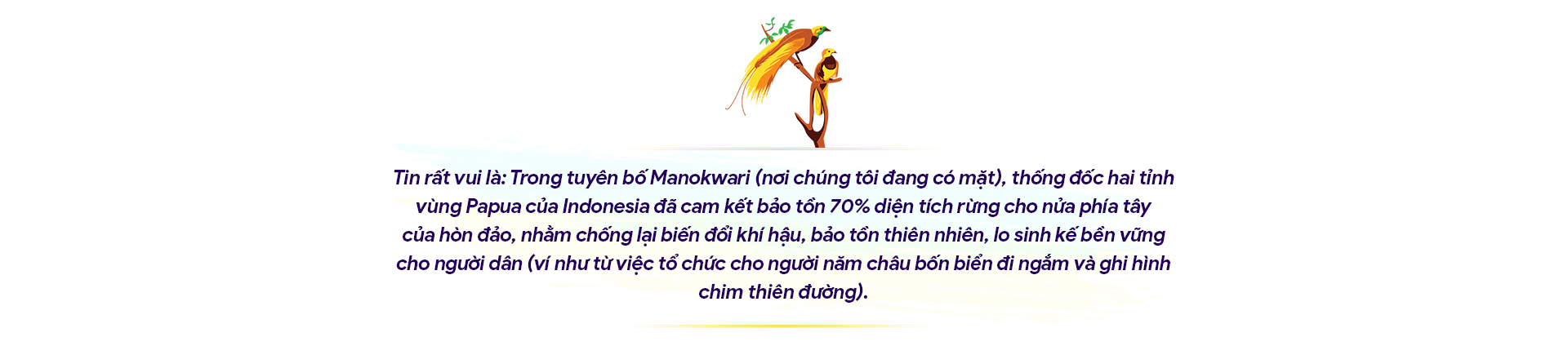 10 ngày hành xác ở &quot;xứ Thiên Đường&quot;: Sự &quot;giác ngộ&quot; của các tín đồ chim thiên đường - Ảnh 6.