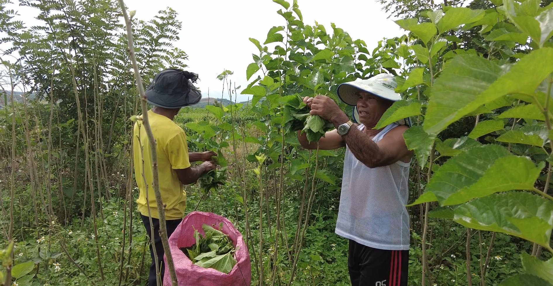 Đẩy mạnh thông tin, tuyên truyền về dân tộc, tôn giáo cho cán bộ Hội Nông dân tỉnh Lâm Đồng - Ảnh 4.