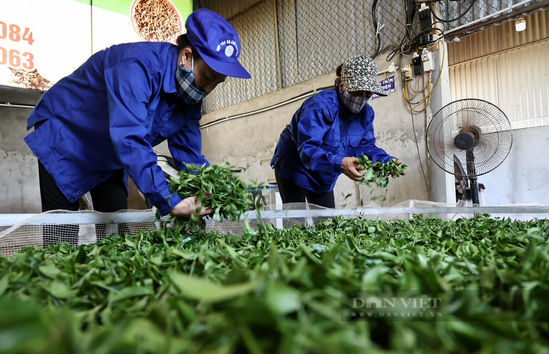 Phó Thủ tướng Chính phủ Lê Minh Khái: Phát triển kinh tế tập thể là phát huy sức mạnh tổng hợp khối đại đoàn kết - Ảnh 3.