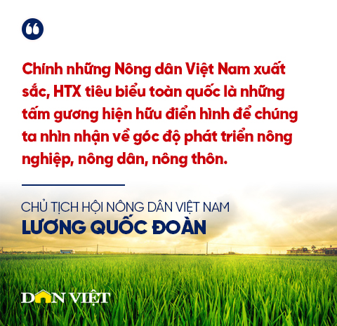 Nông dân Việt Nam xuất sắc, Hợp tác xã tiêu biểu dẫn dắt phong trào thi đua yêu nước trong nông nghiệp, nông thôn - Ảnh 3.