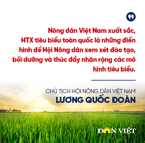 Nông dân Việt Nam xuất sắc, Hợp tác xã tiêu biểu dẫn dắt phong trào thi đua yêu nước trong nông nghiệp, nông thôn - Ảnh 5.