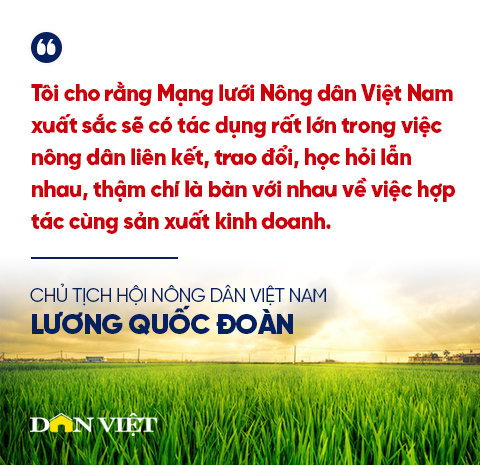 Nông dân Việt Nam xuất sắc, Hợp tác xã tiêu biểu dẫn dắt phong trào thi đua yêu nước trong nông nghiệp, nông thôn - Ảnh 8.