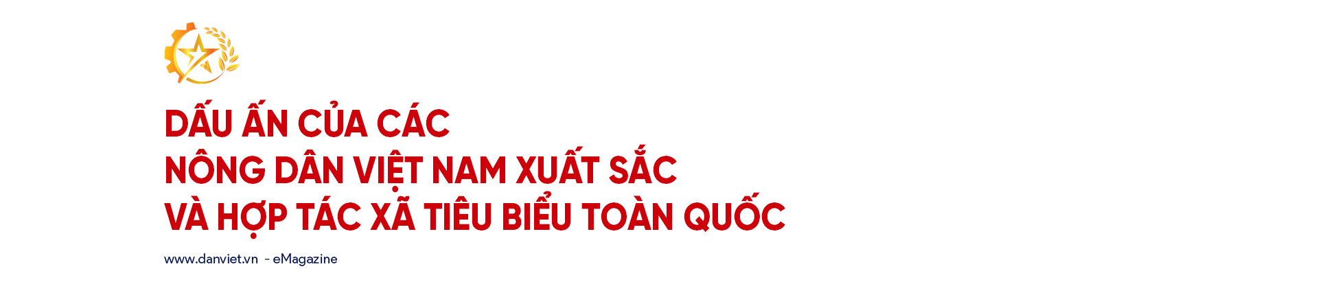 Nông dân Việt Nam xuất sắc, Hợp tác xã tiêu biểu dẫn dắt phong trào thi đua yêu nước trong nông nghiệp, nông thôn - Ảnh 1.