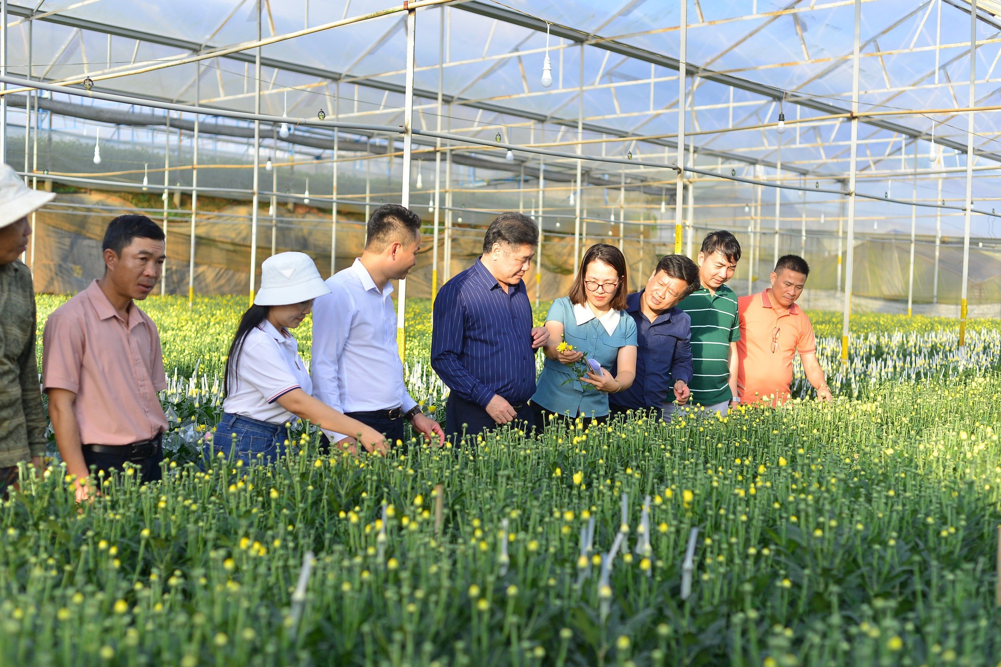 Thứ trưởng Bộ NNPTNT Nguyễn Quốc Trị: Cần chuyển đổi tư duy để nền nông nghiệp phát triển bền vững - Ảnh 2.