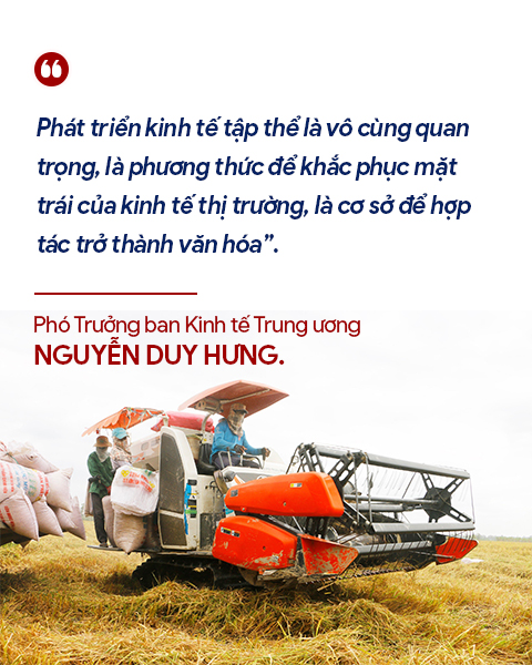 Phó Trưởng ban Kinh tế Trung ương: Lan tỏa những mô hình hay, để hợp tác trở thành văn hóa - Ảnh 7.