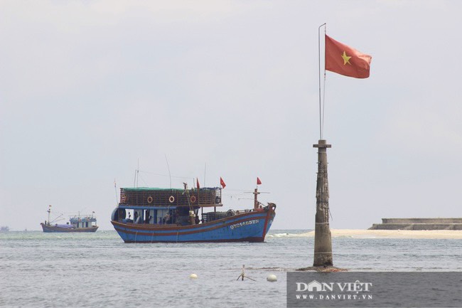 Một xã ở Quảng Bình ngư dân vươn khơi đánh bắt được gần 10 tấn cá, tôm  - Ảnh 2.
