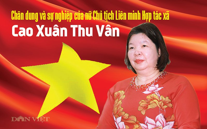 Chân dung và sự nghiệp của nữ Chủ tịch Liên minh Hợp tác xã Việt Nam Cao Xuân Thu Vân