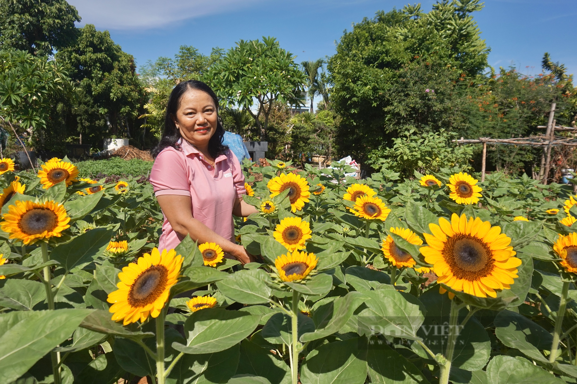 20 năm gắn bó với nghề trồng hoa, một nông dân Đà Nẵng thu hơn 200 triệu đồng mỗi năm - Ảnh 1.