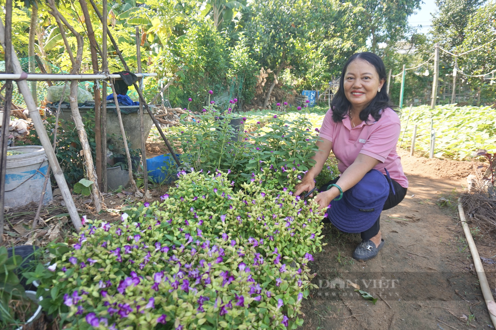 20 năm gắn bó với nghề trồng hoa, một nông dân Đà Nẵng thu hơn 200 triệu đồng mỗi năm - Ảnh 3.