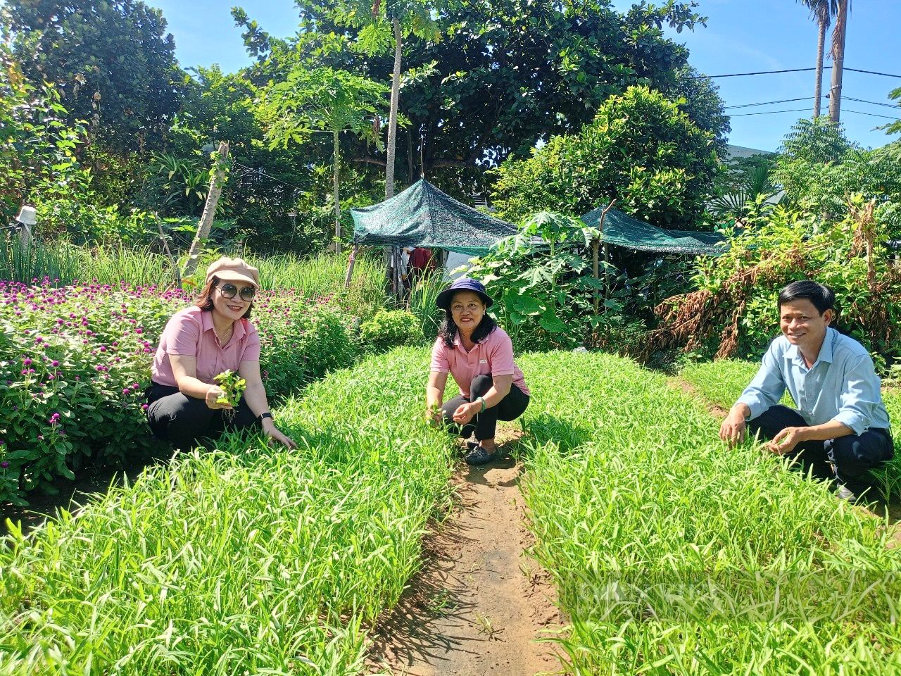 20 năm gắn bó với nghề trồng hoa, một nông dân Đà Nẵng thu hơn 200 triệu đồng mỗi năm - Ảnh 5.