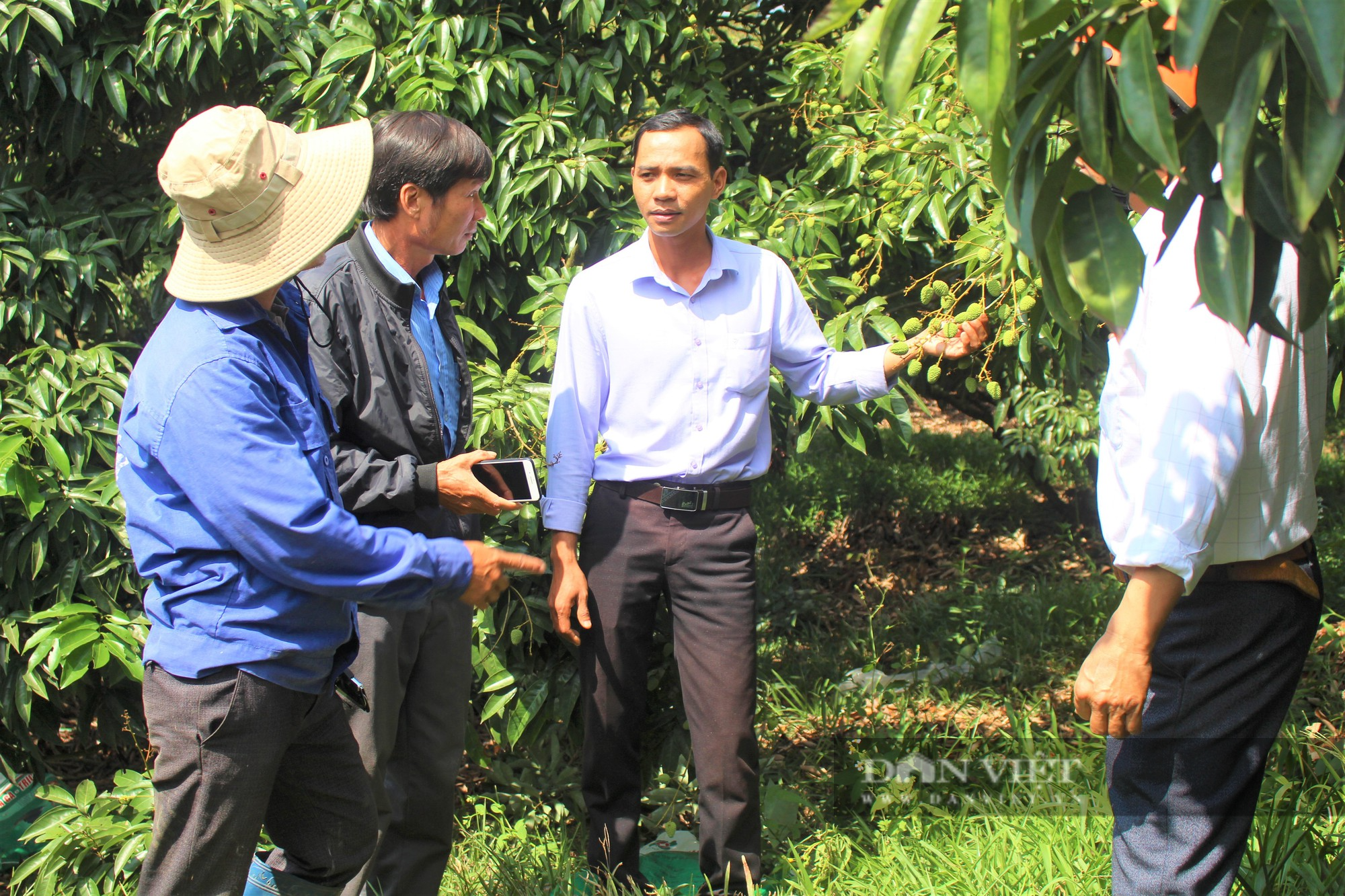 Ra mắt Câu lạc bộ &quot;Nông dân sản xuất, kinh doanh giỏi&quot; đầu tiên của tỉnh Đắk Lắk - Ảnh 3.
