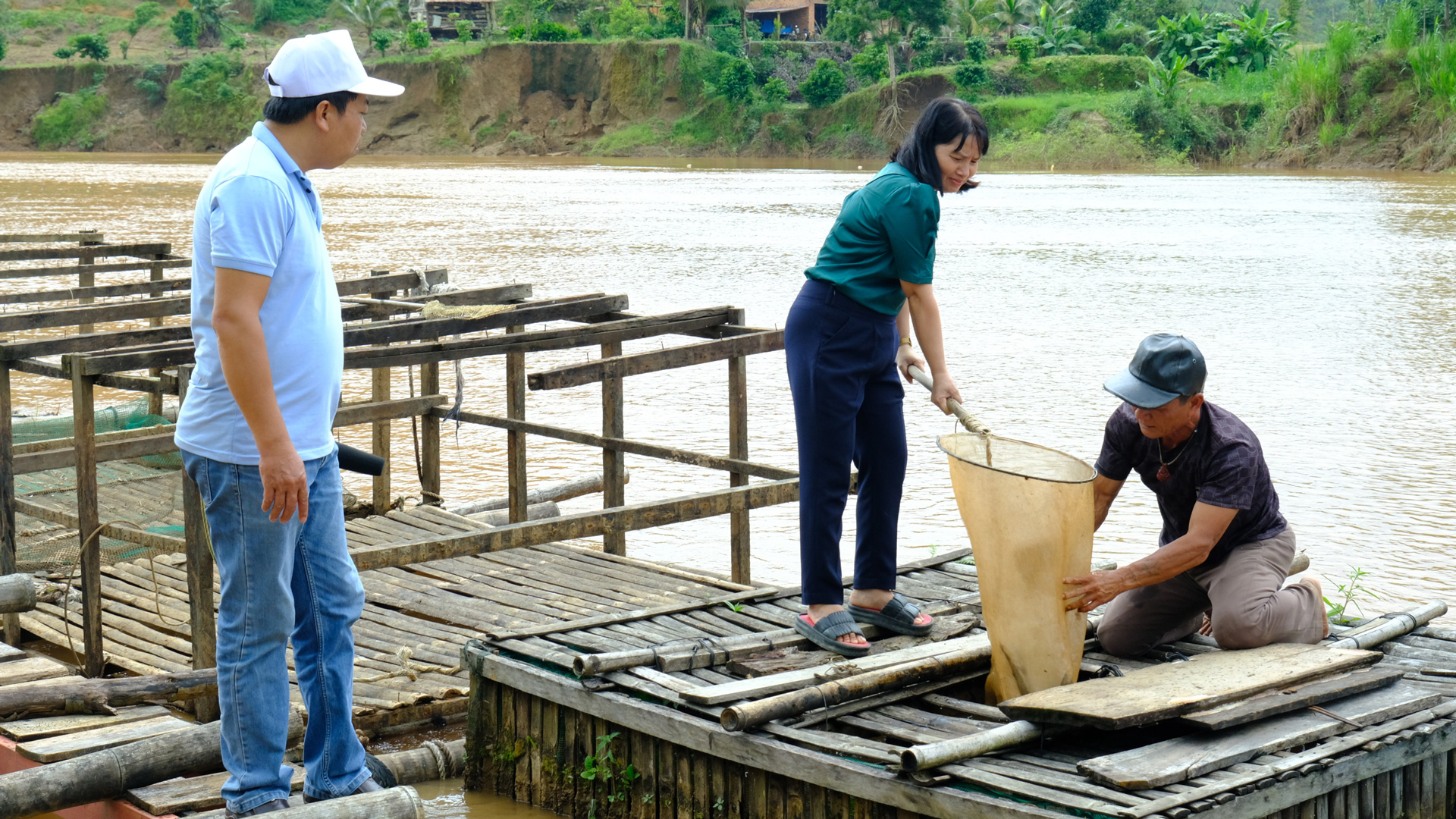 Trên sông Đồng Nai ở Lâm Đồng nuôi thứ cá bổ như nhân sâm nước, hễ nói bán là hết sạch - Ảnh 1.