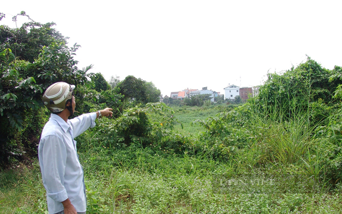 Một khu vực sản xuất nông nghiệp trũng thấp ở phường An Phú Đông, quận 12. Ảnh: Thuận An