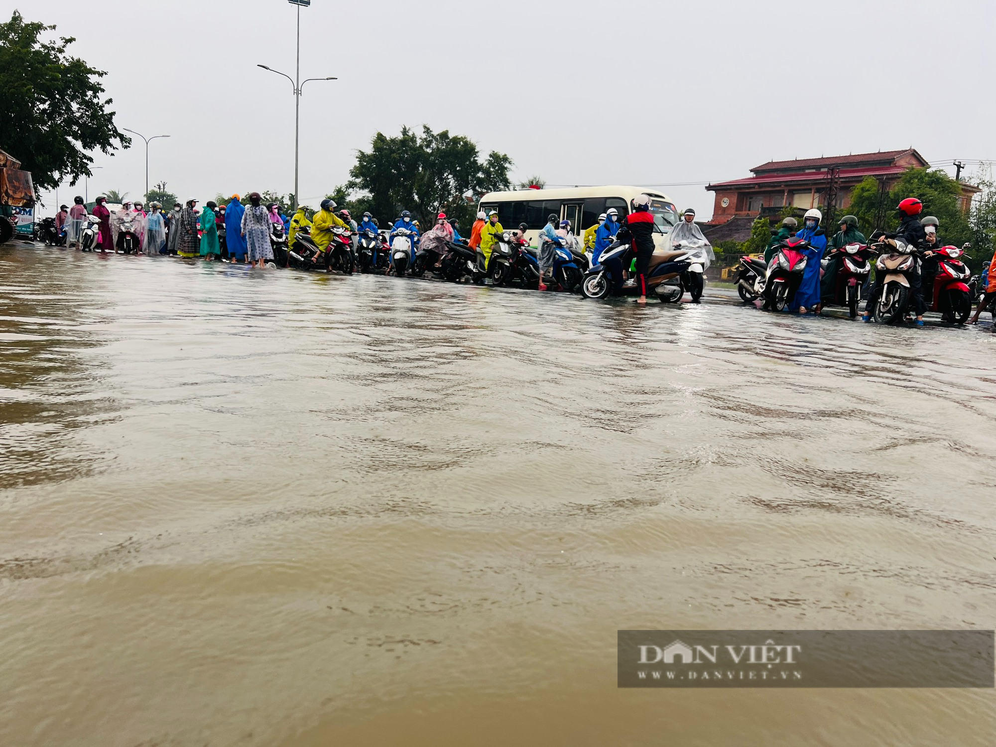 Quảng Nam: Mưa lớn ngập đường, công nhân vật vã lội lụt đi làm, học sinh được nghỉ học - Ảnh 1.