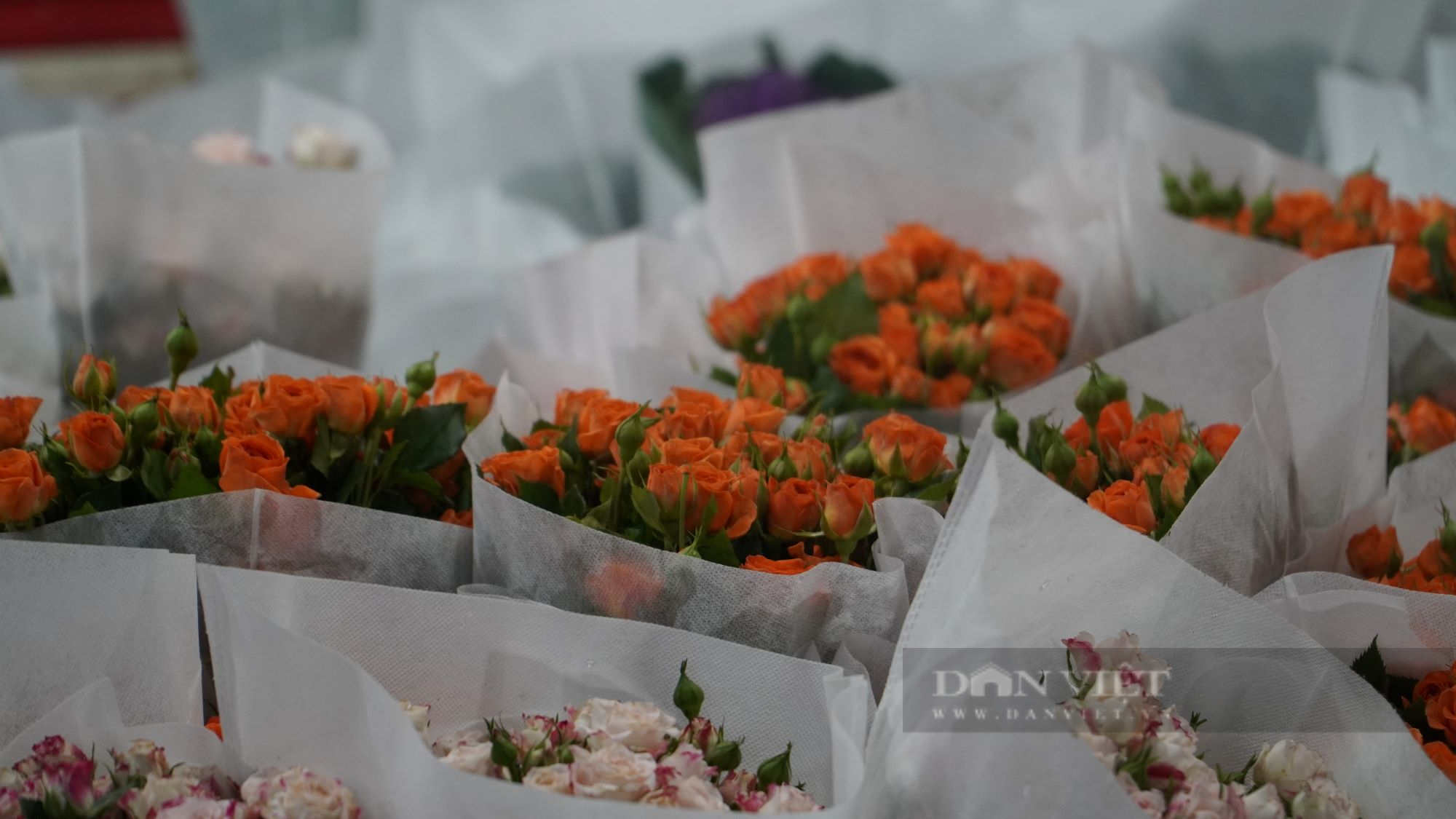 Chợ hoa lớn nhất Sài Gòn đìu hiu dịp lễ 20/10 - Ảnh 7.