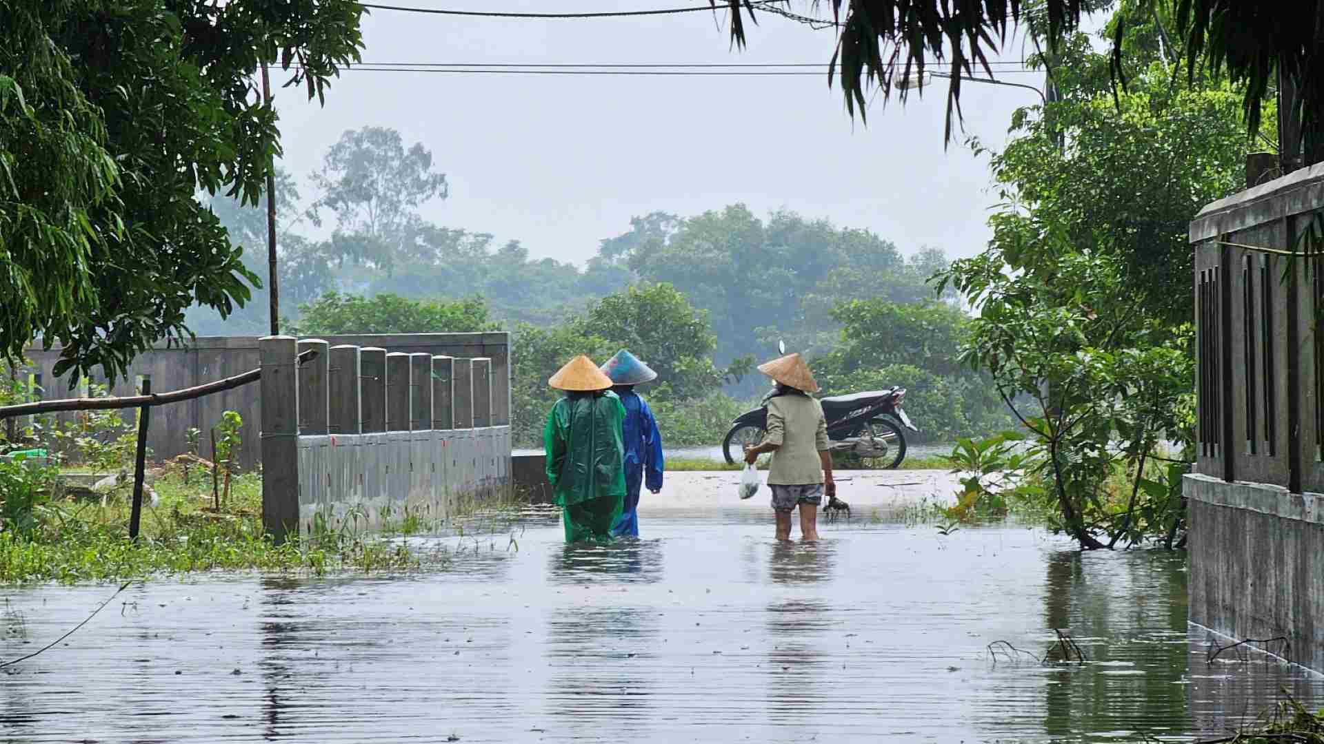 Cái làng thấp trũng nhất ở Thừa Thiên Huế, ngan, vịt bơi đầy sân, gà &quot;chạy&quot; lên gác, đường xóm thành sông - Ảnh 3.