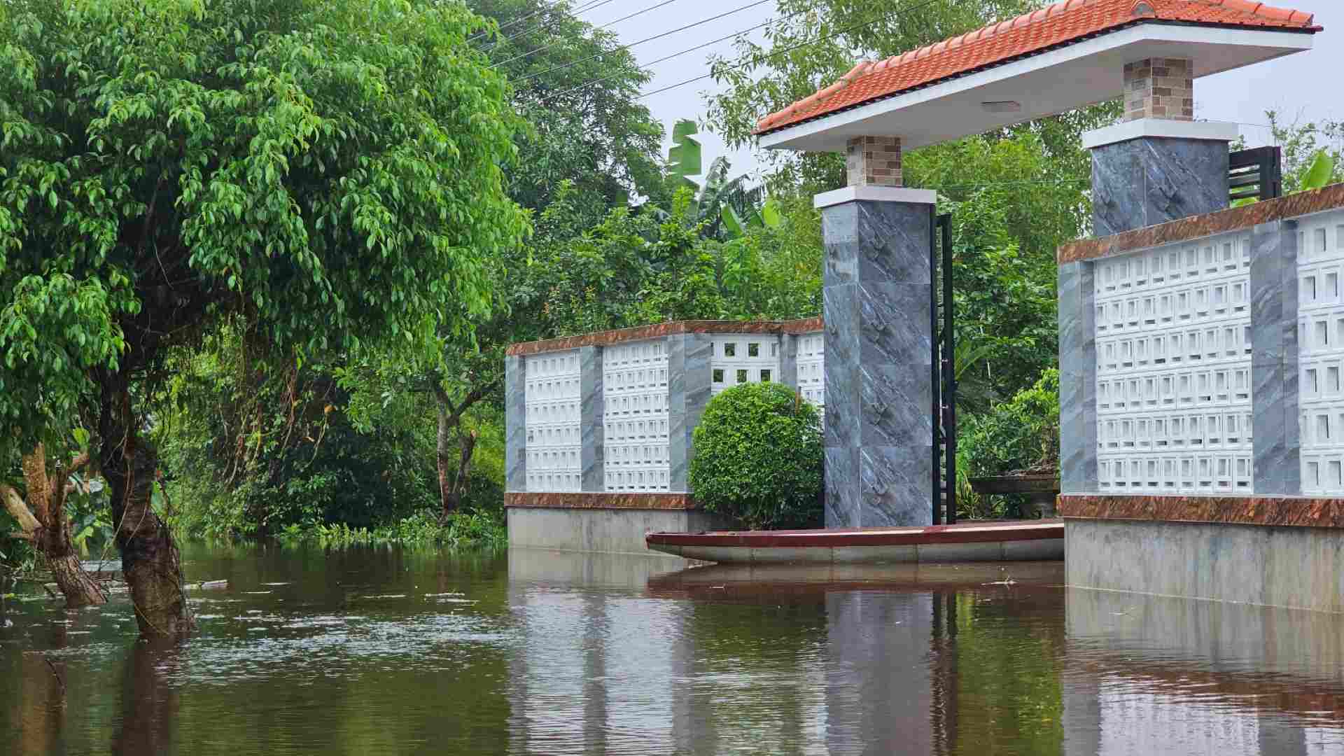 Cái làng thấp trũng nhất ở Thừa Thiên Huế, ngan, vịt bơi đầy sân, gà &quot;chạy&quot; lên gác, đường xóm thành sông - Ảnh 11.