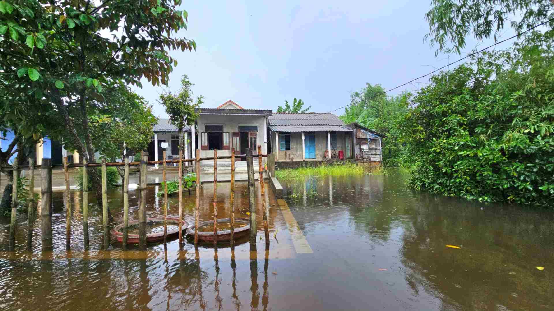 Cái làng thấp trũng nhất ở Thừa Thiên Huế, ngan, vịt bơi đầy sân, gà &quot;chạy&quot; lên gác, đường xóm thành sông - Ảnh 4.